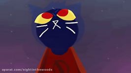 Sounds of silence night in the woods