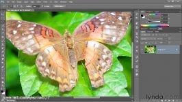 11 4 Retouching with Content Aware Patch