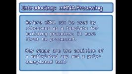 پردازش mRNA