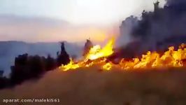 فیلم تلاش مردم برای خاموش کردن آتش سوزی جنگل های مریوان