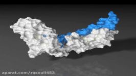 Animation of a molecular dynamics simulation