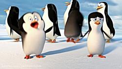 کارتون پنگوئن های ماداگاسکار چیستا کودک