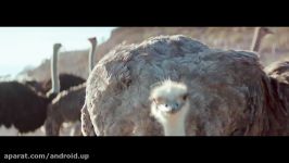 Samsung Official TVC Ostrich