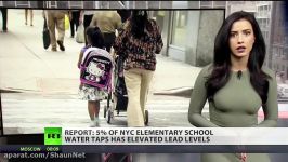 NY elementary schools more lead infested than Flint