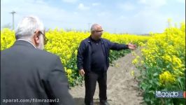بازدید قائم مقام تولیت آستان قدس رضوی مزرعه نمونه
