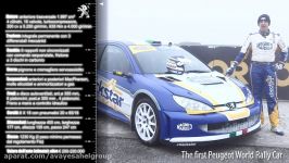 Peugeot 206 WRC MAGNETI MARELLI RACING