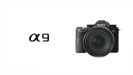 Sony  α  α9  Product Feature