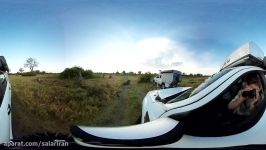 گذر یک شیر آفریقایی کنار اتوموبیل پارک ملی بوتسوانا