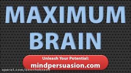 Peak Brain  Use 100 OF Your Brain  Release Your Creative Genius and Intelligence