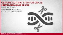 Genome Editing with engineered nucleases