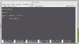 Introduction to Bash Scripting 10  Creating a While Loop