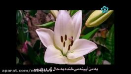 آهنگ بسیــار زیبا فریدون آسرایی «گل عاشق ♪ ♫