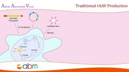 تولید ویروس نوترکیب AAV برای ژن درمانی