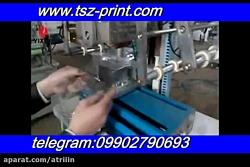 دستگاه چاپ ترانسفرمسطح زن چاپ ظروف یکبار مصرف