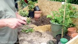 How To Start Your Own Plant Nursery  Part 1