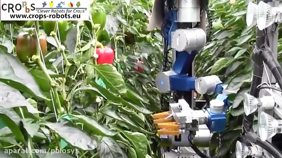 An Autonomous Harvesting Robot for Sweet pepper in Greenhouses Fin Ray end effector