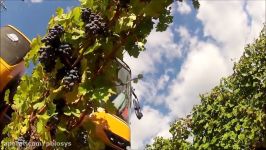 Pellenc Optimum Grape Harvester