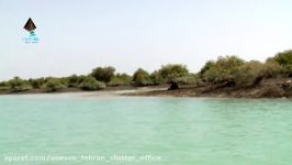 Qeshm Island UNESCO Global Geopark Iran