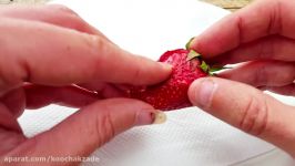 ★ How to Grow Strawberries from Seed A Complete Step by Step Guide