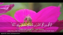 « وأوحى ربك إلى النحل » للشیخ عبد الباسط