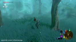 How to get through the Lost Woods in Zelda Breath of the Wild