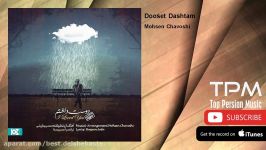 Mohsen Chavoshi  Dooset Dashtam محسن چاوشی  دوست داشتم