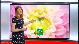 Rebecca Wood  Midlands Today Weather 03May2017