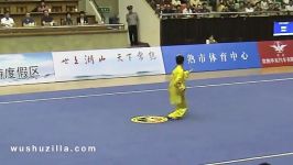 Zhou Bin  Taiji Quan 2012 China Mens Wushu Nationals