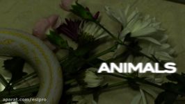 Maroon 5  Animals Lyric Video