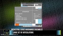 وی اس تی وی اس تی بادی چوبی Sonokinetic Woodwinds Ensem