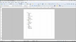LibreOffice Writer 24 Describing a LibreOffice Bug