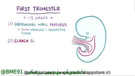 انیمیشن کوتاه کامل در رابطه Bladder exstrophy