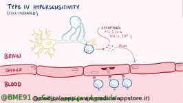 انیمیشن کوتاه کامل در رابطه MS