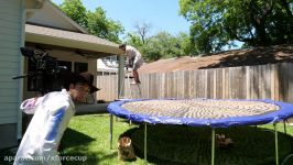 Diving into 1000 Mousetraps in 4K Slow Motion  The Slow Mo Guys