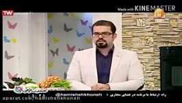 کسب کارهای خانگی موثر در اجرای اقتصاد مقاومتی