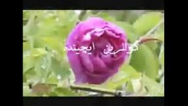 اینتیظار گئجه لری