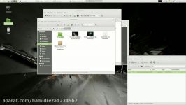 install amd drivers linux mint 17.3