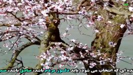 اگر جنازه ام کمک می کند آنرا به روی مین دشمن بیندازید.