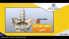 آناتومی ستون فقرات