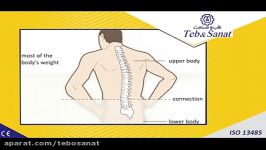 ستون فقرات کمری بخش اول