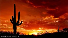 آهنگ تگزاسی Cactus Desert