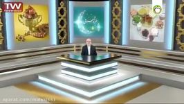 مصرف ماهی در ماه مبارک رمضان دکتر حمیدرضا ضیایی محقق طب سنتی