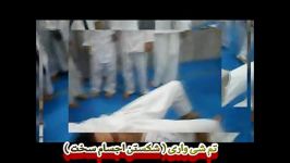 اجسام شکنی روی تخته میخ و...  92530