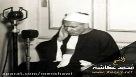 الشیخ محمدعکاشه وسوره کهف