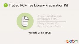 2 Next Generation Sequencing NGS  Sample Preparation