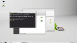 Review  Linux Mint Debian Edition LMDE 2 Betsy