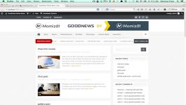 Goodnews Wordpress theme  Review System