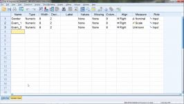 Top 10 Tips for Beginners in SPSS – Introduction to SPSS Part 1