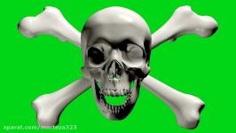 Green screen skull