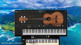 خرید وی اس تی گیتار Ample Sound Ample Ethno Ukulele AEU